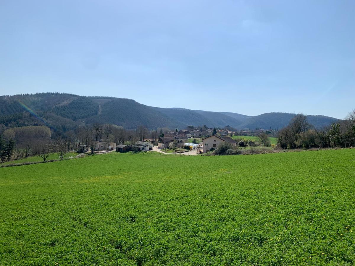 Les Figuiers De Louna - Pierre Ensoleillee - 110 M2 Et Une Veranda Saint-Géry Kültér fotó